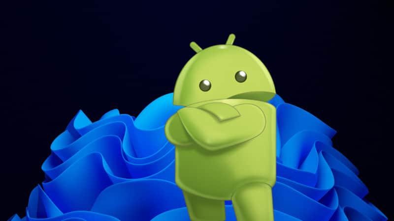 Featured image of post 通过 WSA 抓取 android 的 https 网络请求包